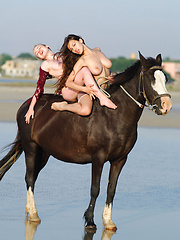 Horses and Sofi and Vella oh my, playing on the beach or riding bare back.